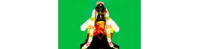 092. திருநாகேஸ்வரம்